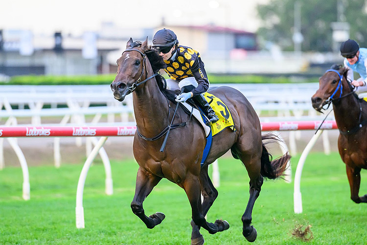 ZARASTRO winning the EUREKA STUD W.J. HEALY STAKES