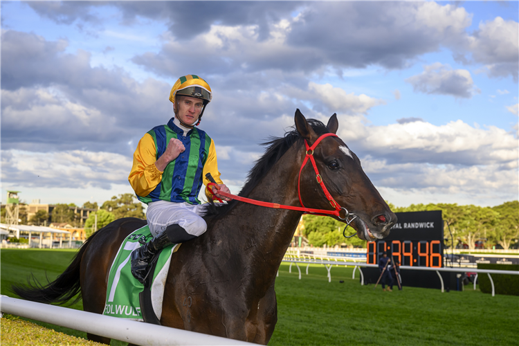 查德·斯科菲尔德