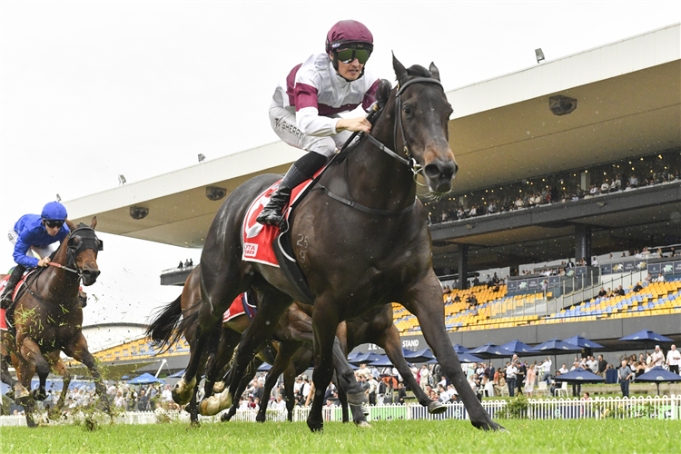 Jockey : TOM SHERRY after winning the TOYOTA FORKLIFTS STARLIGHT STAKES at Rosehill in Australia.