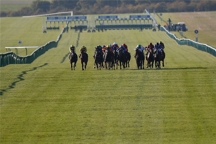 RACECOURSE : NEWMARKET (ROWLEY MILE).