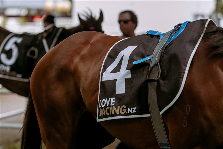 NZ Racing