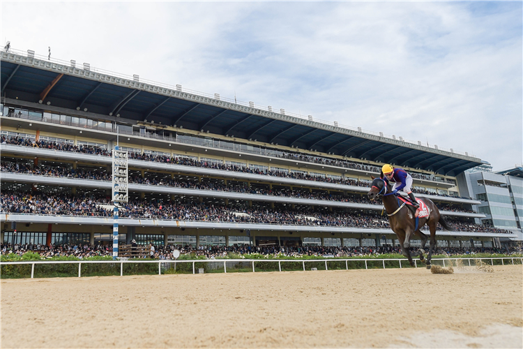 Seoul Racecourse