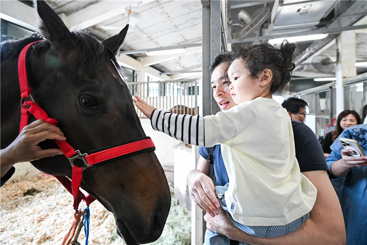 Tuen Mun Public Riding School Open Day