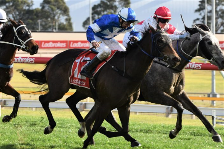 Anthony Darmanin is eyeing off his first-ever Tasmanian jockeys' premiership.