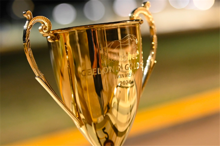 GGRC Geelong Cup trophy.