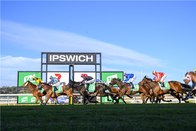 Racing in Queensland is at Ipswich on Wednesday