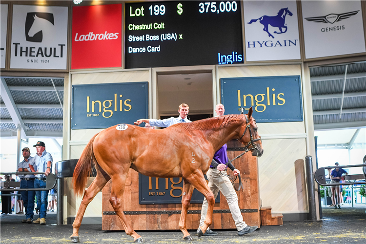 The $375,000 Street Boss colt from Day 1 at Inglis Classic.
