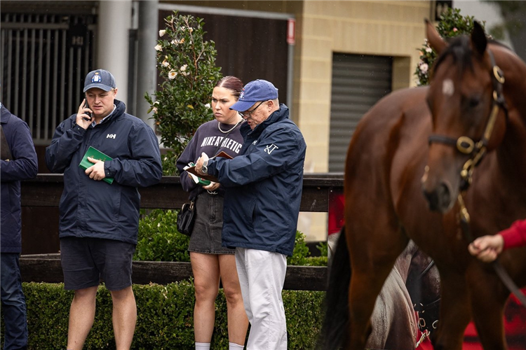 There will be extra time for inspections at the Easter Sale on Sunday.