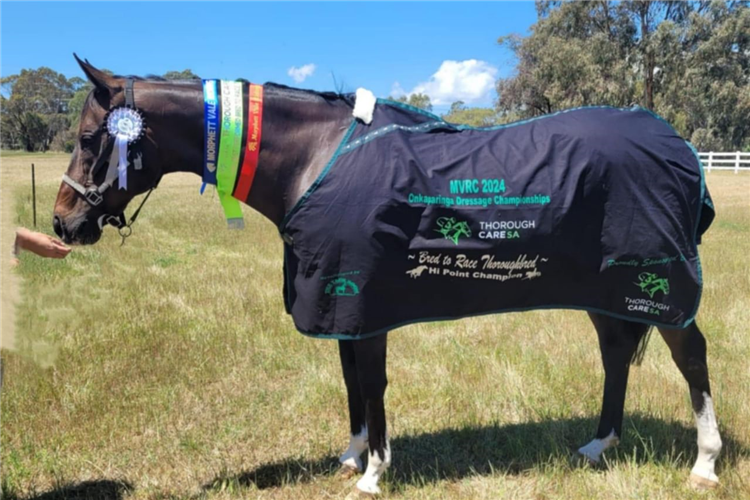 Atlanta Blue Owned and Ridden by Nicole Hooper Hi Point Bred To Race Thoroughbred Onkaparinga Dressage Championships.