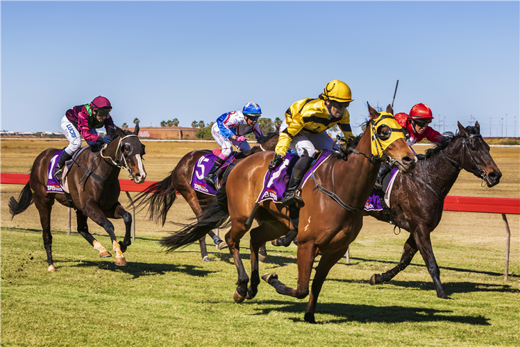 Port Hedland Turf Club.