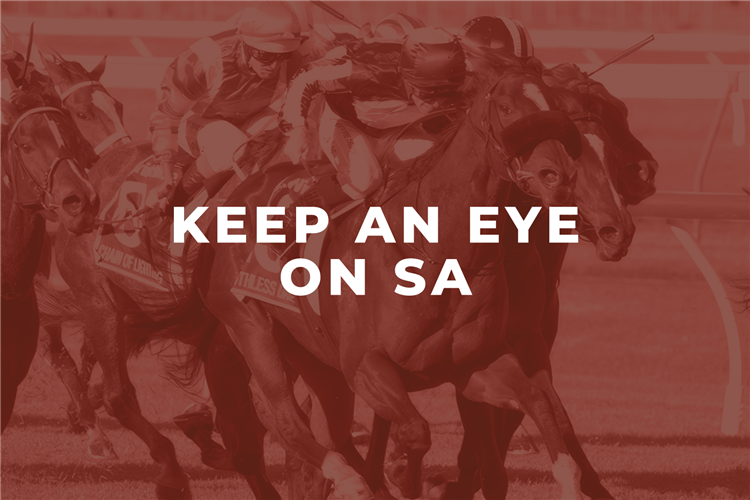 Keep An Eye On SA