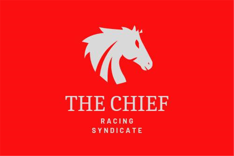 The Chief Racing Syndicate have selected Almighty Class to run in their slot.