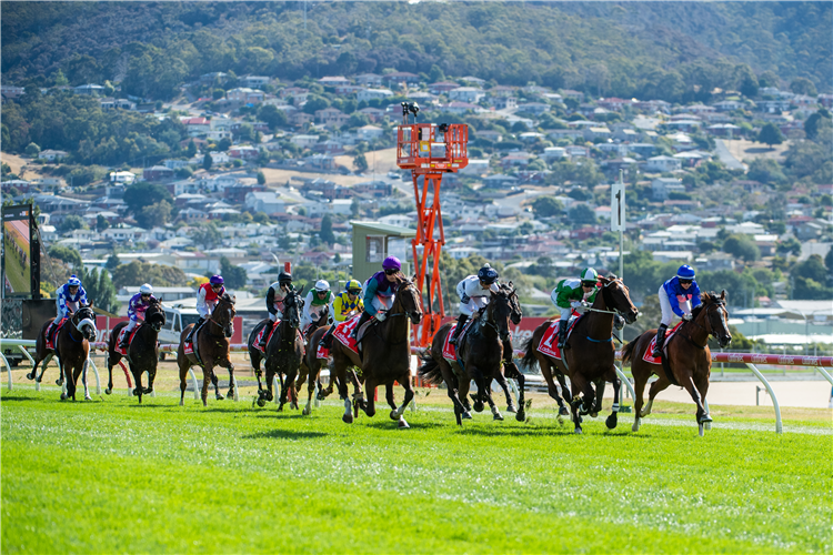 The Hobart Cup is this weekend.