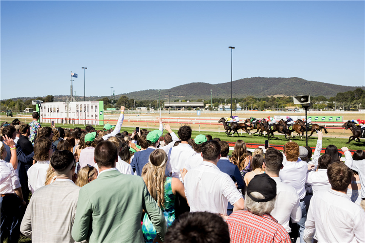 Hops & Hooves Festival returns to Thoroughbred Park on Saturday 28 September.