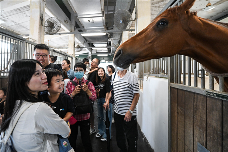 Tuen Mun Public Riding School Open Day