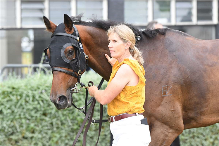 Jack In The Box springs into action at Hastings