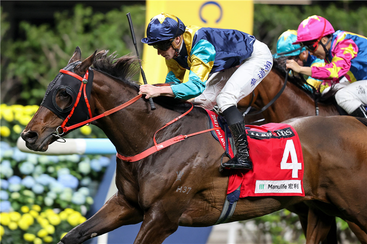 A AMERIC TE SPECSO winning the SEA EAGLE HANDICAP
