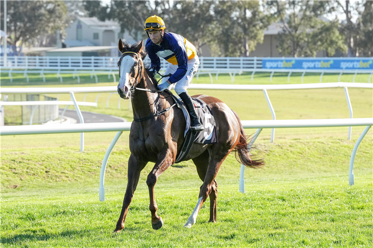ABOUNDING winning the Sharp EIT Solutions Tristarc Stakes at Caulfield in Australia.