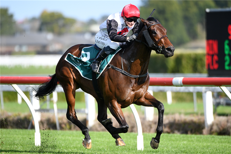 ACAPELAGO winning the NUTRITECH 3YO