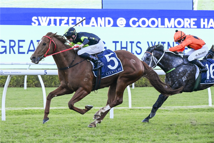 ACCREDITED winning the SWITZERLAND @ COOLMORE HANDICAP at Randwick in Australia.