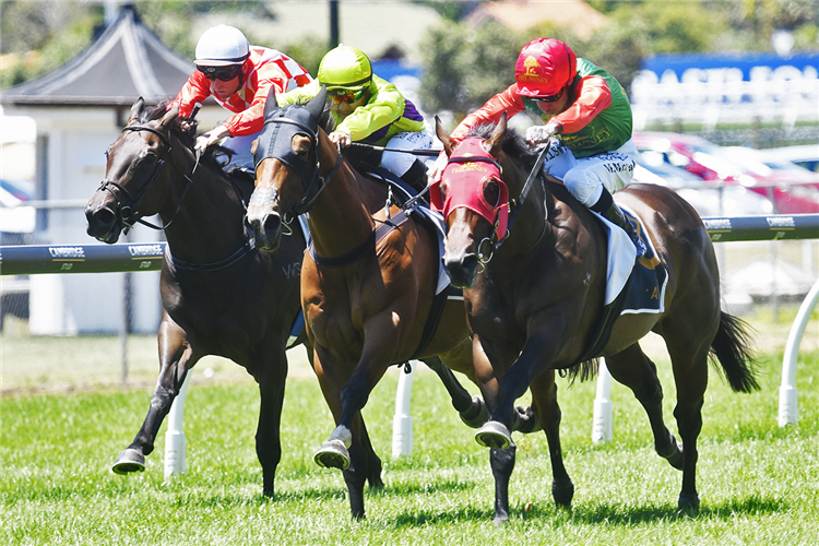 ACQUARELLO (outside) winning the AUCKLAND CO-OP TAXIS