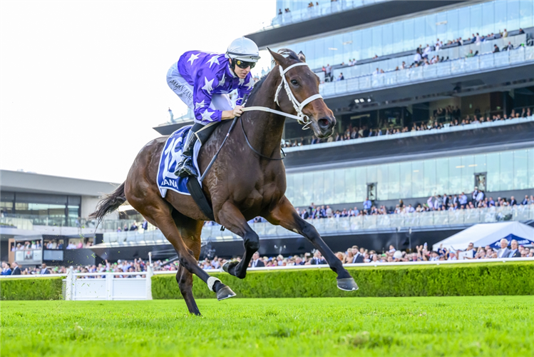 AELIANA winning the ATC AUSTRALIAN DERBY at Randwick in Australia.