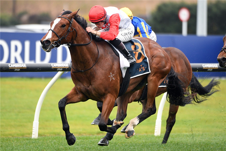 AFFIRMATIVE ACTION winning the SIR COLIN MEADS TROPHY