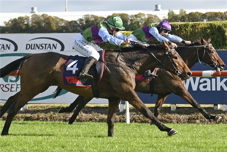 AFTERALLTHISTIME (nearer) winning the SIGNATURE HOMES WAIKATO STEEPLECHASE