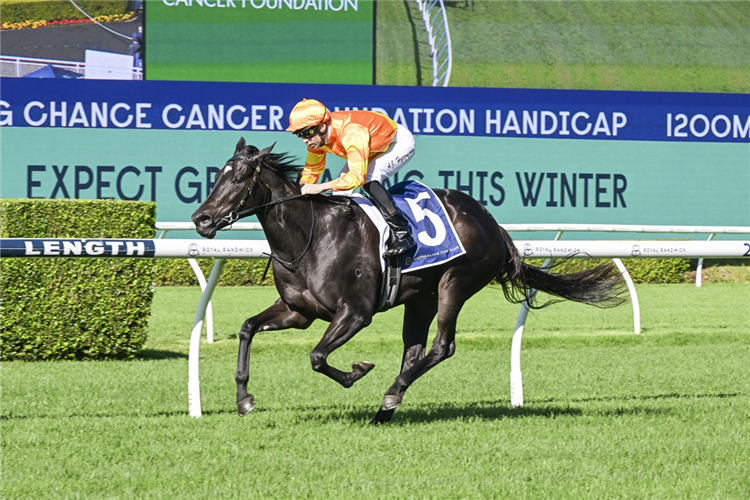 AGARWOOD winning the SPORTING CHANCE CANCER FOUNDATION HANDICAP at Randwick in Australia.