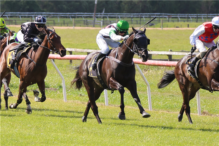 AGERA winning the PETE'S KITCHENS FEILDING CUP