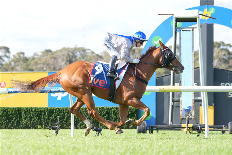 AHHA AHHA winning the ive > Handicap at Sandown in Australia.