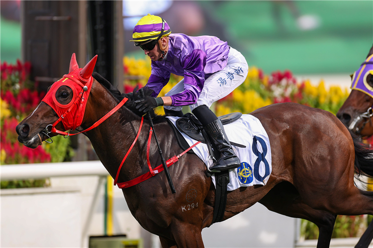 ALL'S WELL winning the BIG PROFIT HANDICAP