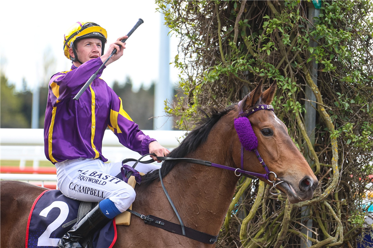 ALOTTAGO winning the RANGIORA NEW WORLD GUINEAS TRIAL