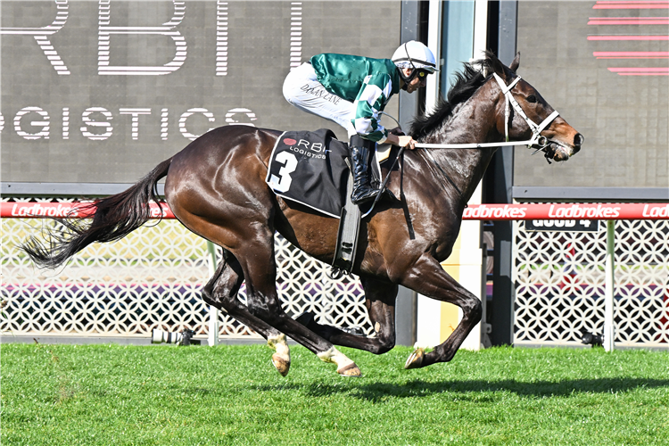 ANGEL CAPITAL winning the Orbit Logistics Chautauqua Stakes at Moonee Valley in Australia.