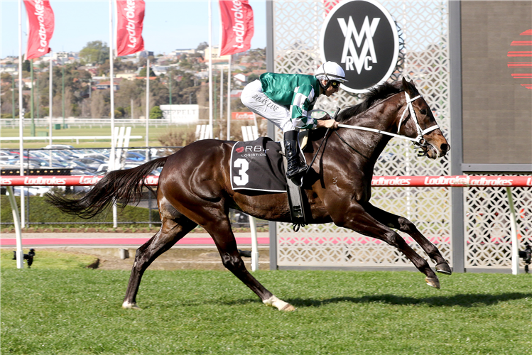 ANGEL CAPITAL winning the Orbit Logistics Chautauqua Stakes
