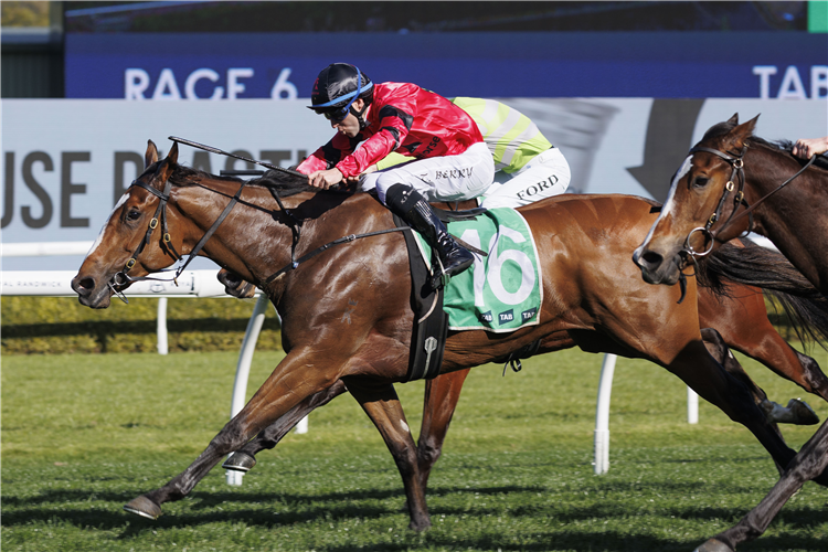 APOCALYPTIC winning the TAB FURIOUS STAKES