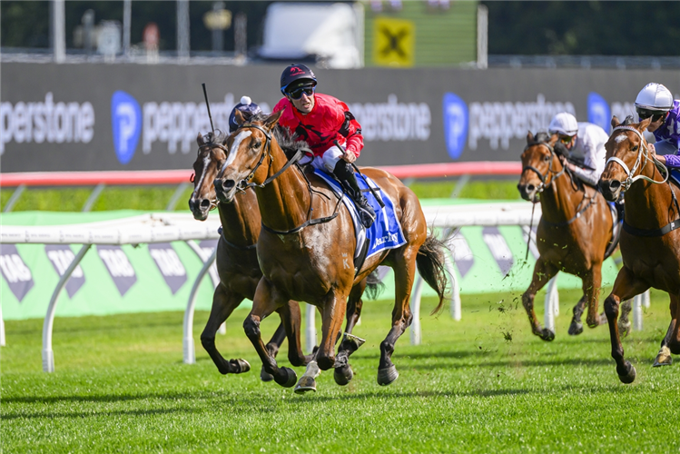 APOCALYPTIC winning the DARLEY FLIGHT STAKES at Randwick in Australia.