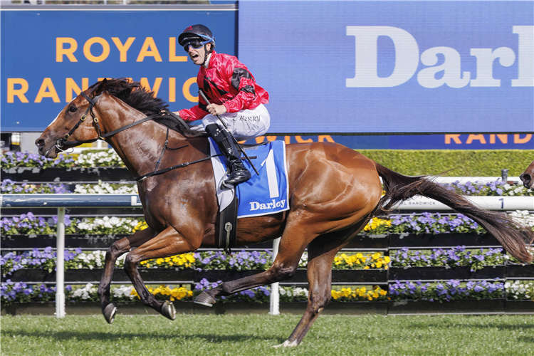 APOCALYPTIC winning the DARLEY FLIGHT STAKES