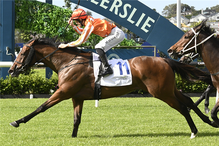 ARABIAN SONGBIRD winning the ELSDON PARK