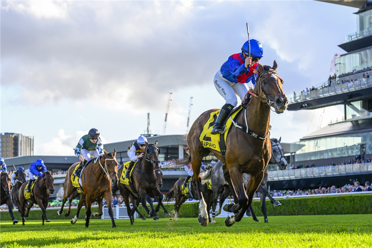 ARAPAHO winning the SCHWEPPES SYDNEY CUP at Randwick in Australia.