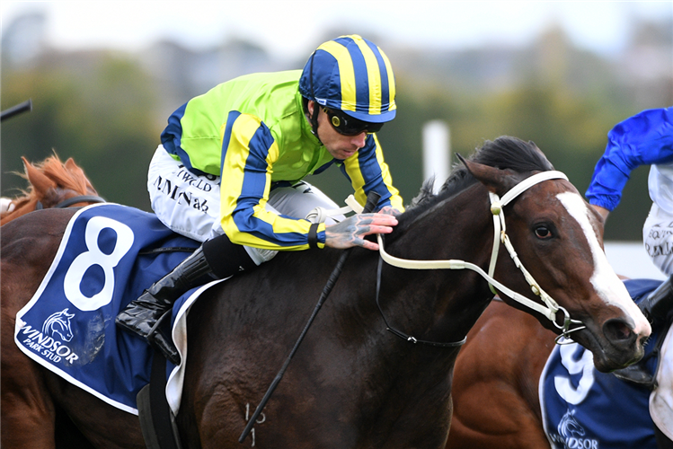 「阿尔达里奥」胜出剑桥育马人锦标赛