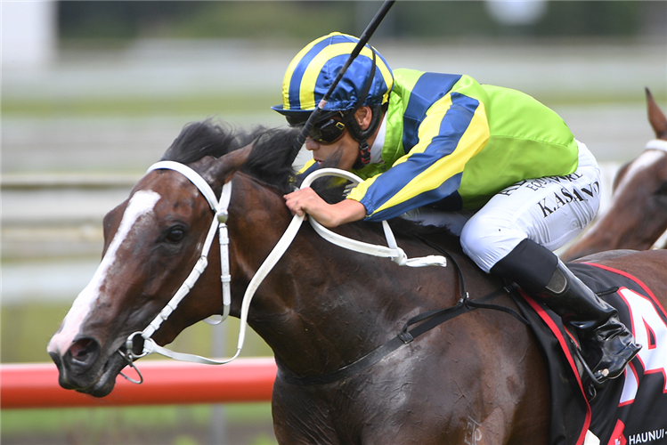 「阿尔达里奥」