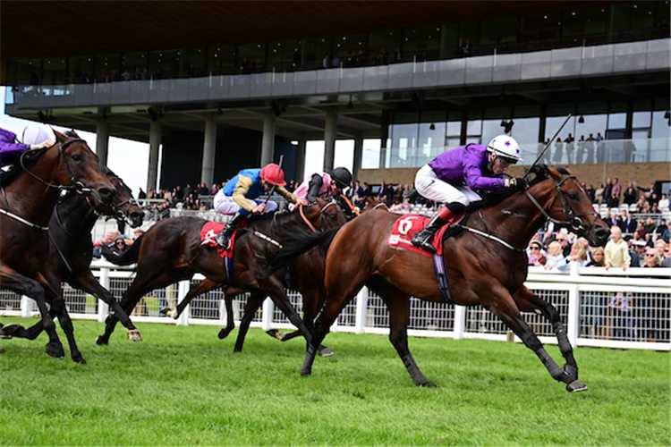 ARIZONA BLAZE winning the Flying Five Stakes at Curragh in Ireland.
