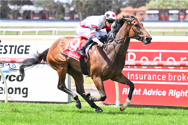 ASTRAL FLAME winning the Dundee Rock Construction Classic BM70 Handicap at Geelong in Australia.