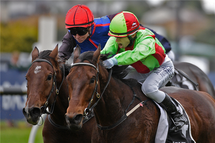 ATA RANGI winning the KINGMAKERS SYNDICATION