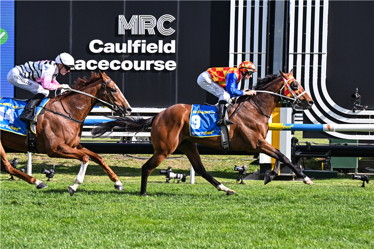 AUTUMN BOY winning the Caulfield Guineas at Caulfield in Australia.