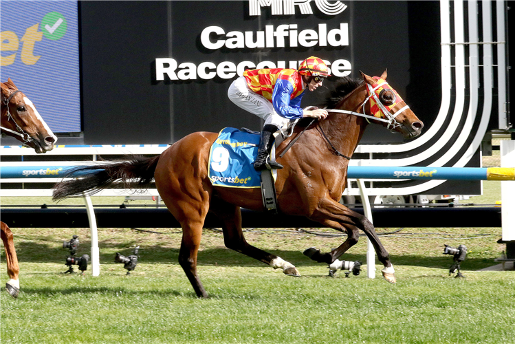 AUTUMN BOY winning the Sportsbet Caulfield Guineas at Caulfield in Australia.