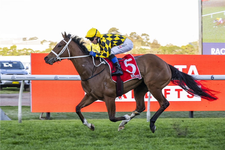 AUTUMN GLOW winning the Theo Marks Stakes at Rosehill in Australia.