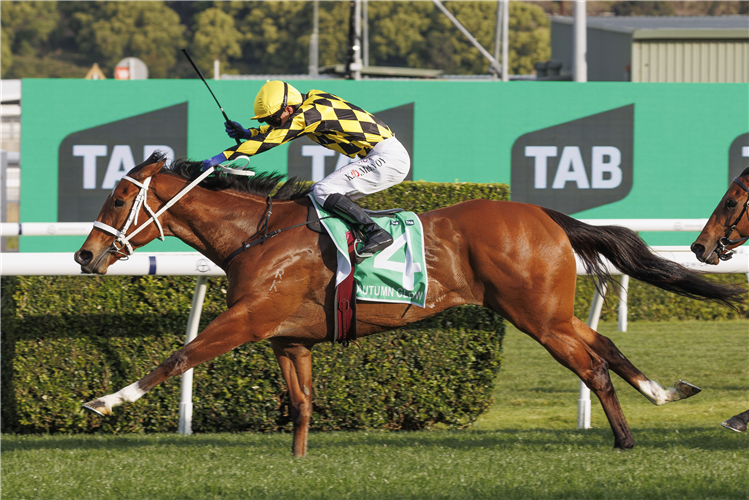 AUTUMN GLOW winning the TAB EPSOM