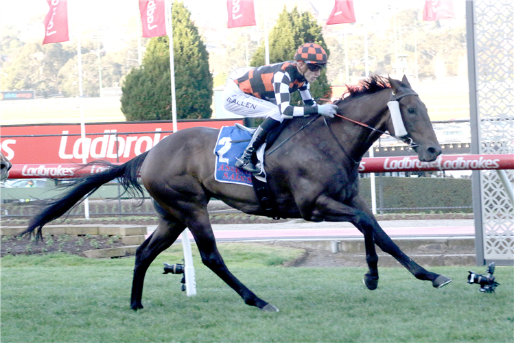 BARAQIEL winning the Paramount Liquor Carlyon Stakes - Large